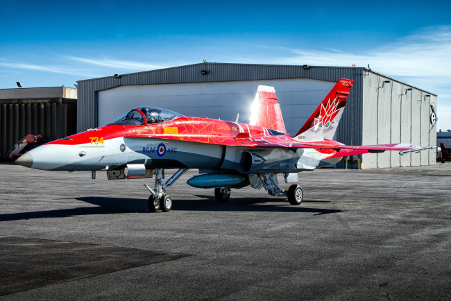 Обои картинки фото mcdonnell douglas cf-18 hornet, авиация, боевые самолёты, истребитель