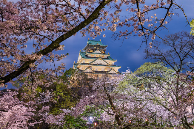 Обои картинки фото osaka castle, города, замки Японии, парк, замок