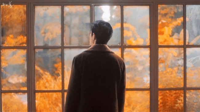 Обои картинки фото мужчины, xiao zhan, актер, пальто, окно, осень