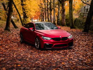 обоя автомобили, bmw, red, autumn, f82, m4