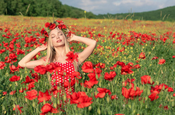 обоя девушки, - блондинки,  светловолосые, блондинка, венок, луг, алые, маки, елена, гусева