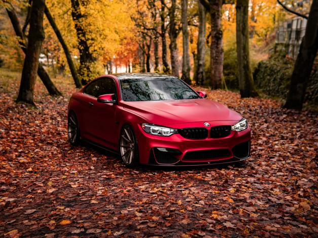 Обои картинки фото автомобили, bmw, red, autumn, f82, m4