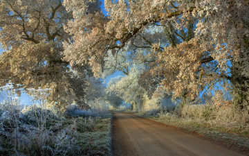 Картинка природа дороги иней деревья