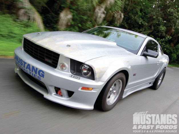 Обои картинки фото 2005, s281, saleen, silver, stallion, автомобили, mustang