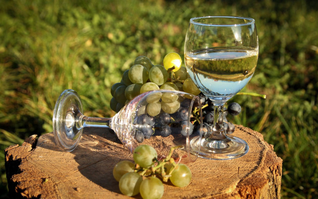 Обои картинки фото еда, напитки, вино, пень, бокал, виноград