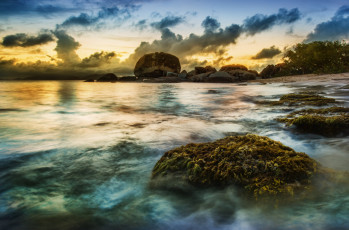 Картинка природа побережье карибские острова карибы