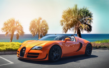 Картинка bugatti автомобили изящество стиль автомобиль красота скорость