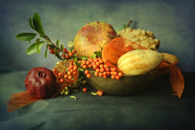 Обои картинки фото еда, фрукты, овощи, вместе, тыква, гранат, рябина