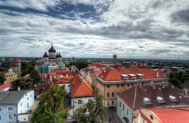 Обои картинки фото города, таллин, эстония, панорама, крыши