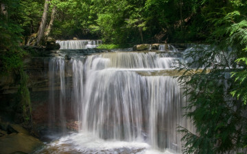 Картинка природа водопады скала лес поток