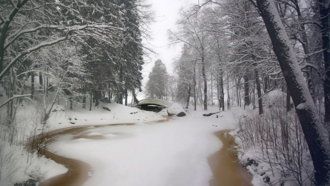 Обои картинки фото природа, парк, мостик, река, снег, деревья
