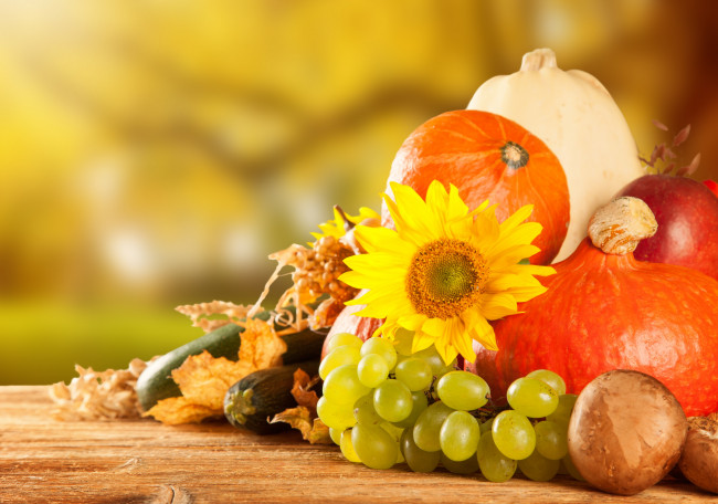 Обои картинки фото еда, фрукты и овощи вместе, урожай, осень