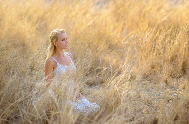 Обои картинки фото девушки, -unsort , блондинки, поле, девушка, трава