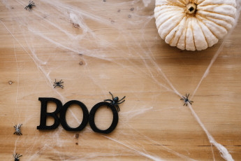 Картинка праздничные хэллоуин паутина праздник паук тыква