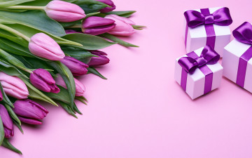 обоя праздничные, подарки и коробочки, flowers, подарки, тюльпаны, romantic, gift, purple, букет, love, бант, tulips, pink, fresh, розовые