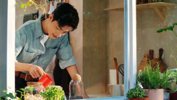 Картинка мужчины xiao+zhan актер окно чашка банки растения