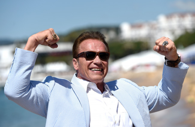 Обои картинки фото мужчины, arnold schwarzenegger, актер, пиджак, очки, мышцы