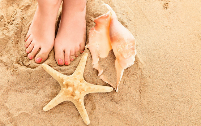 Обои картинки фото разное, руки,  ноги, песок, женские, ножки, ракушка, морская, звезда