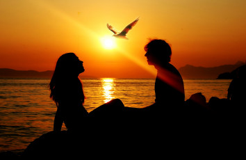 Картинка разное мужчина+женщина силуэт солнце луч любовь свобода мужчина девушка закат птица чайка море лето