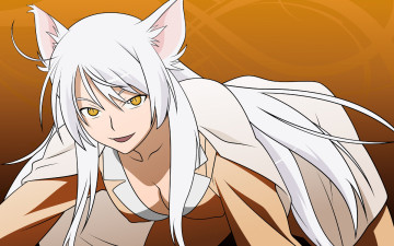 Картинка аниме bakemonogatari девушка взгляд hanekawa+tsubasa пижама ушки кошка