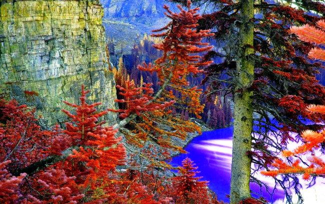Обои картинки фото природа, горы, ели, краски, озеро, осень