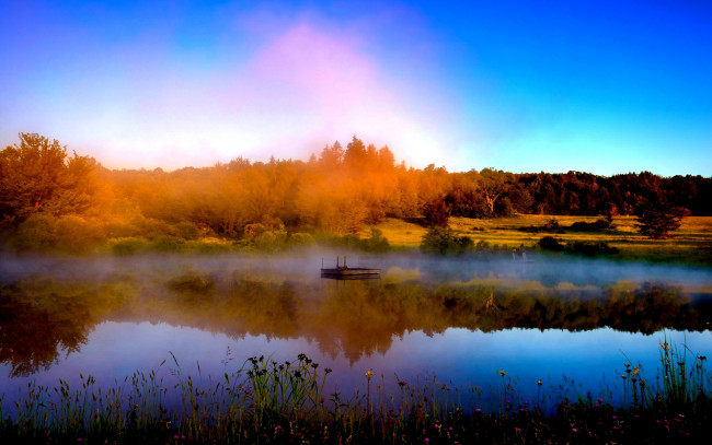 Обои картинки фото природа, реки, озера, трава, осень, река, лес, цветы, отражение, плот