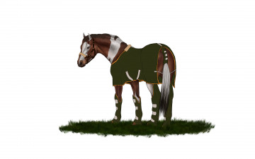 Картинка рисованные животные лошади фон лошадь