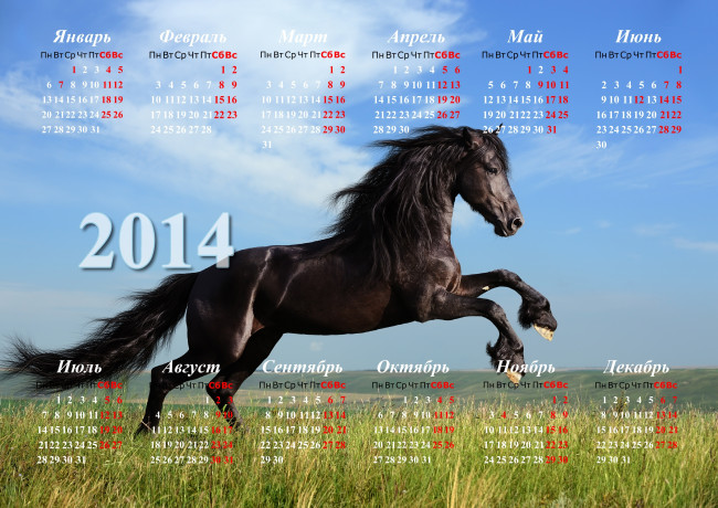 Обои картинки фото календари, животные, кони
