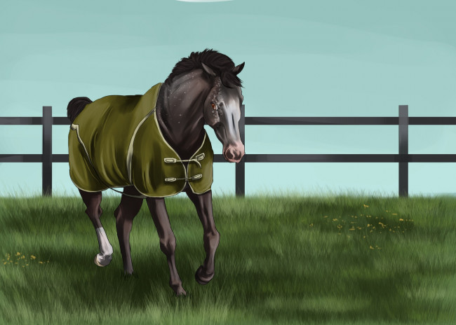 Обои картинки фото рисованные, животные, лошади, забор, лошадь