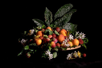 Картинка еда фрукты +ягоды листья натюрморт ягоды