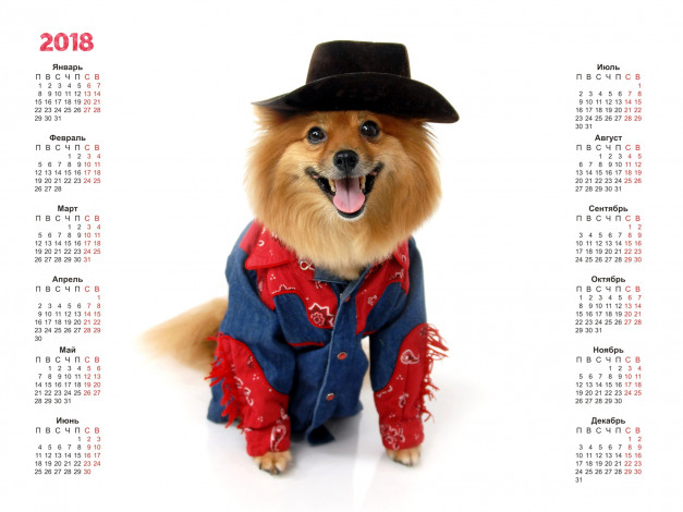Обои картинки фото календари, животные, собака, 2018, белый, фон, шляпа