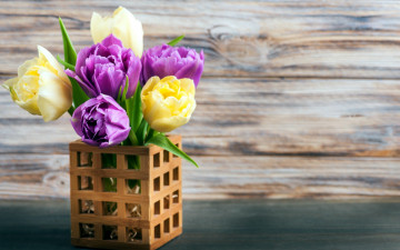 обоя цветы, тюльпаны, ваза, бутоны