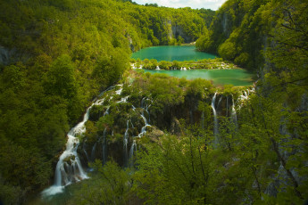 Картинка плитвицкие озёра хорватия природа водопады потоки лес озеро