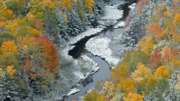 Картинка природа реки озера деревья лес осень река