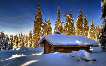 Картинка природа зима лес деревья опушка избушка снег
