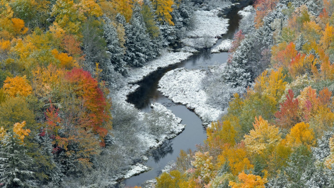 Обои картинки фото природа, реки, озера, деревья, лес, осень, река
