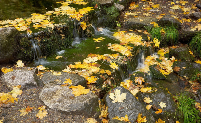 Обои картинки фото природа, реки, озера, пруд, камни, мох, листья, осень, вода