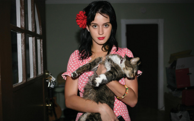 Обои картинки фото музыка, katy, perry, кошка
