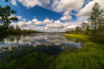 Картинка природа реки озера лес река облака