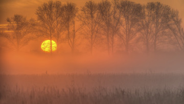 Картинка природа восходы закаты небо солнце закат деревья поле осень