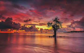 Картинка природа восходы закаты облака небо зарево озеро дерево