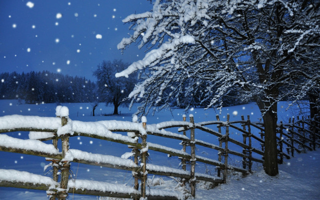 Обои картинки фото природа, зима, забор, дерево, снегопад, снег, вечер, сумерки