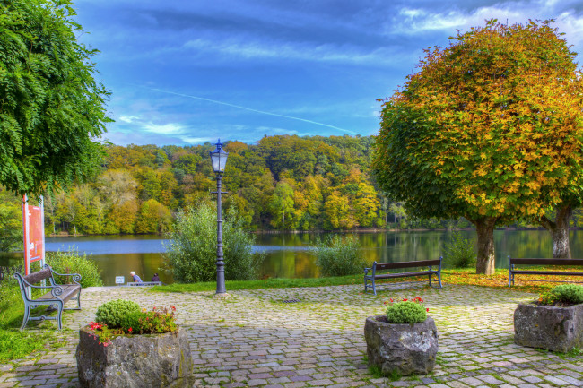 Обои картинки фото ульмень германия, природа, парк, ульмень, германия, река, скамейка, деревья