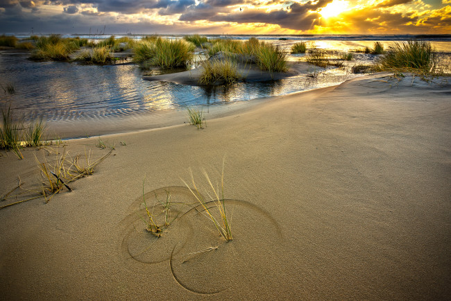 Обои картинки фото природа, побережье, океан, пляж, трава, тучи, свет