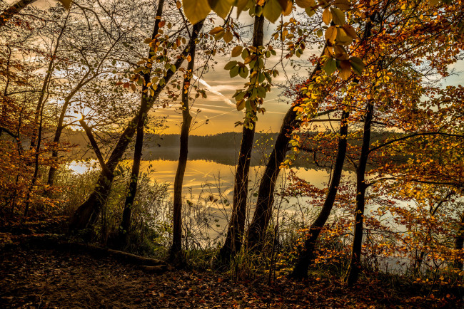 Обои картинки фото природа, реки, озера, лес, озеро, осень