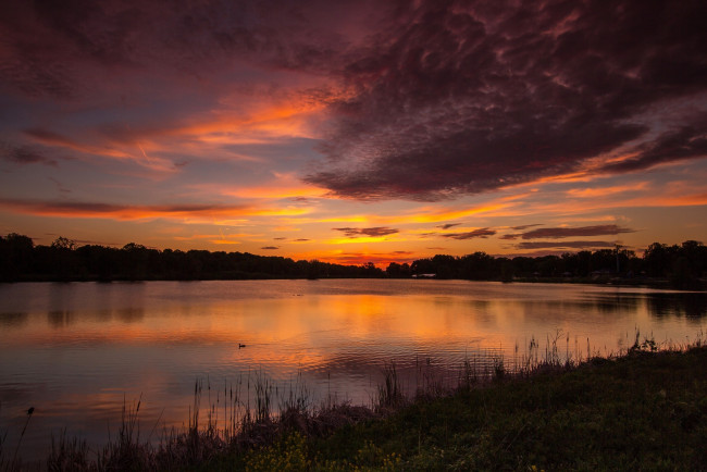 Обои картинки фото природа, восходы, закаты, закат, пруд, озеро, вода, трава, отражение, облака