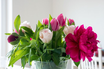Картинка цветы букеты +композиции пионы тюльпаны розы