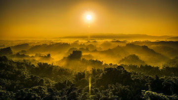 Картинка природа восходы закаты лес холмы солнце небо туман