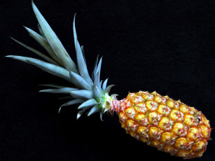 Картинка еда ананас плод