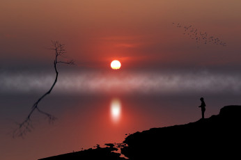 Картинка природа восходы закаты туман силуэт закат